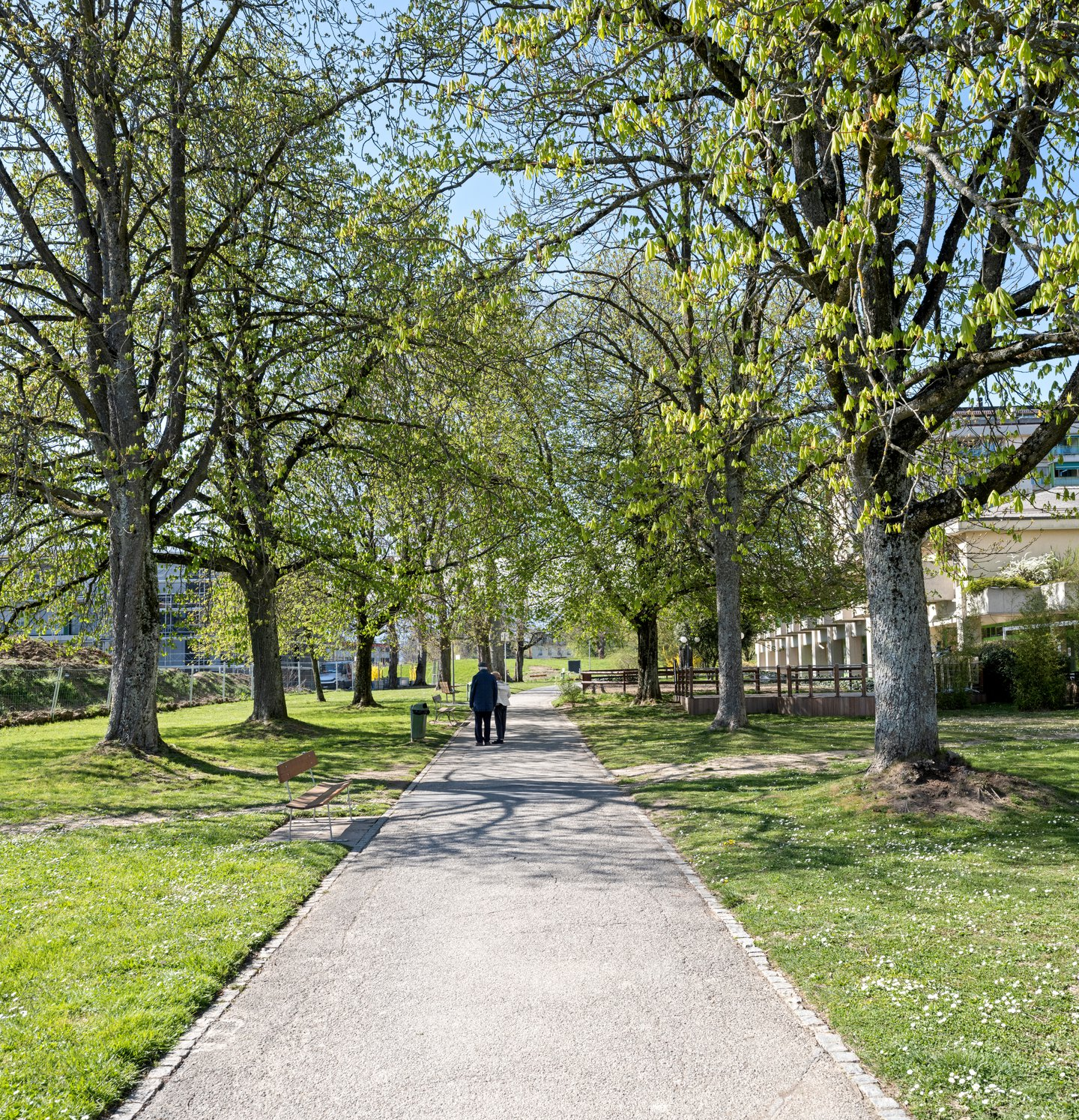 Parc Colladon — vue 8